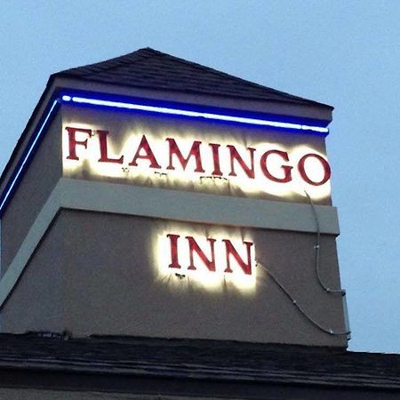 Flamingo Inn 엘크시티 외부 사진