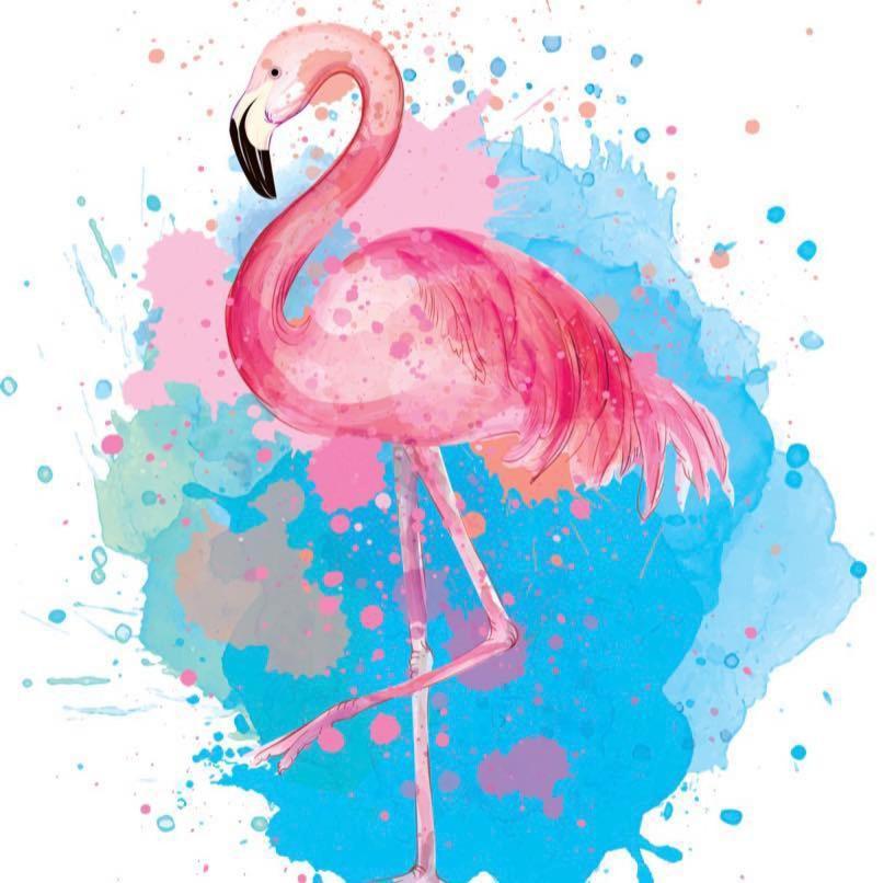 Flamingo Inn 엘크시티 외부 사진