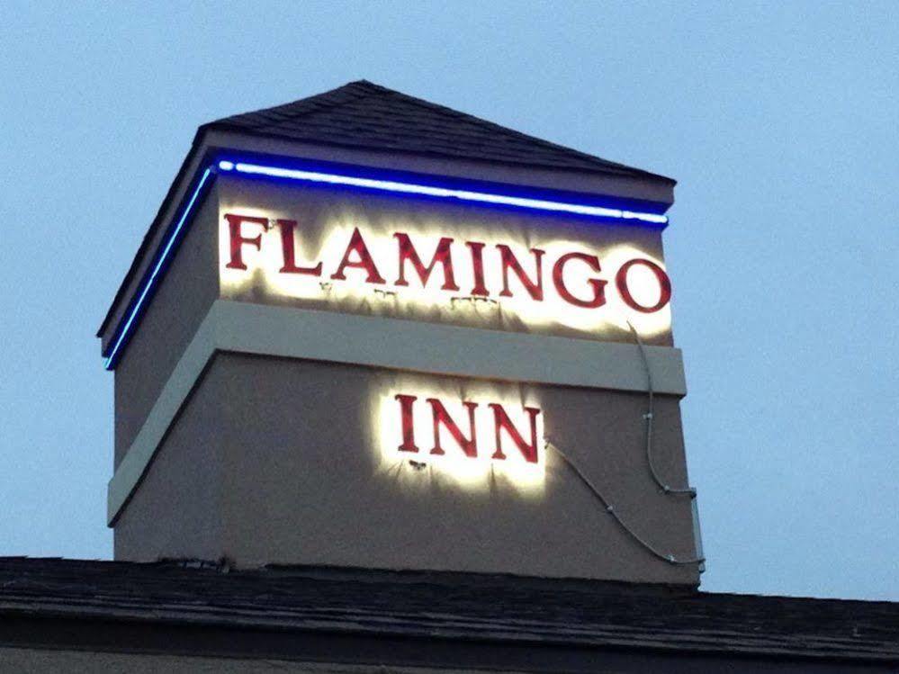 Flamingo Inn 엘크시티 외부 사진